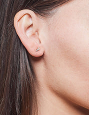 Pastiche  Dancing Light Earrings - E1951YGCZ